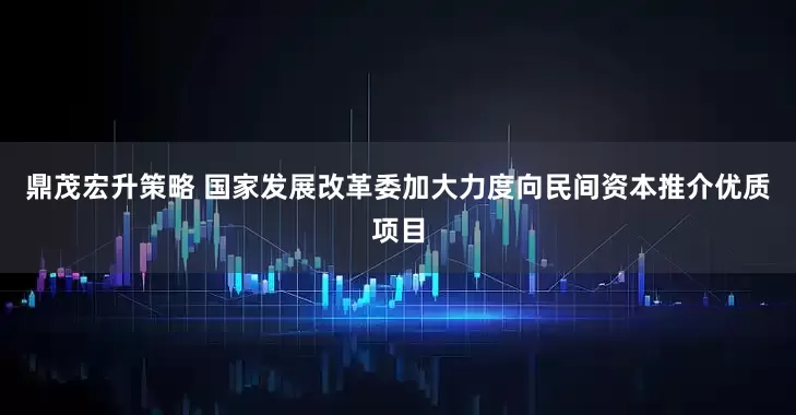 鼎茂宏升策略 国家发展改革委加大力度向民间资本推介优质项目