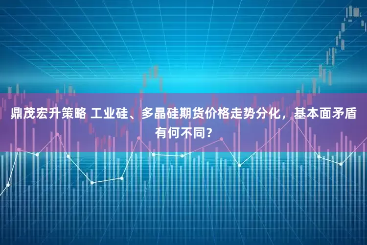 鼎茂宏升策略 工业硅、多晶硅期货价格走势分化，基本面矛盾有何不同？