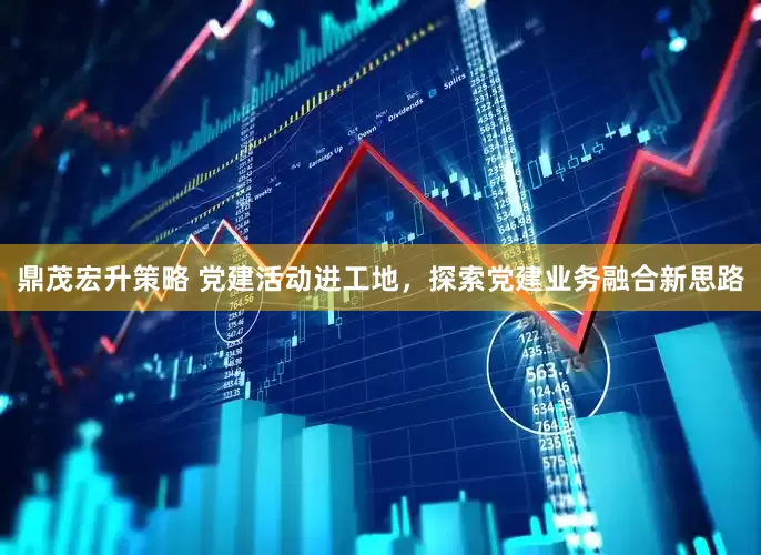 鼎茂宏升策略 党建活动进工地，探索党建业务融合新思路