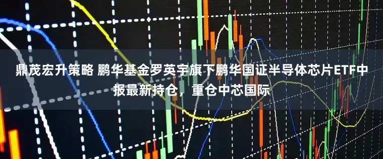 鼎茂宏升策略 鹏华基金罗英宇旗下鹏华国证半导体芯片ETF中报最新持仓，重仓中芯国际