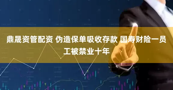 鼎晟资管配资 伪造保单吸收存款 国寿财险一员工被禁业十年