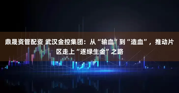 鼎晟资管配资 武汉金控集团：从“输血”到“造血”，推动片区走上“逐绿生金”之路