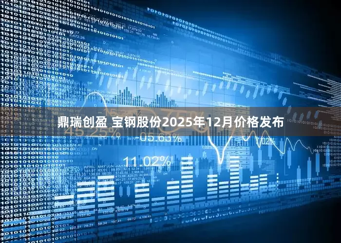 鼎瑞创盈 宝钢股份2025年12月价格发布