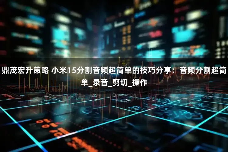 鼎茂宏升策略 小米15分割音频超简单的技巧分享：音频分割超简单_录音_剪切_操作